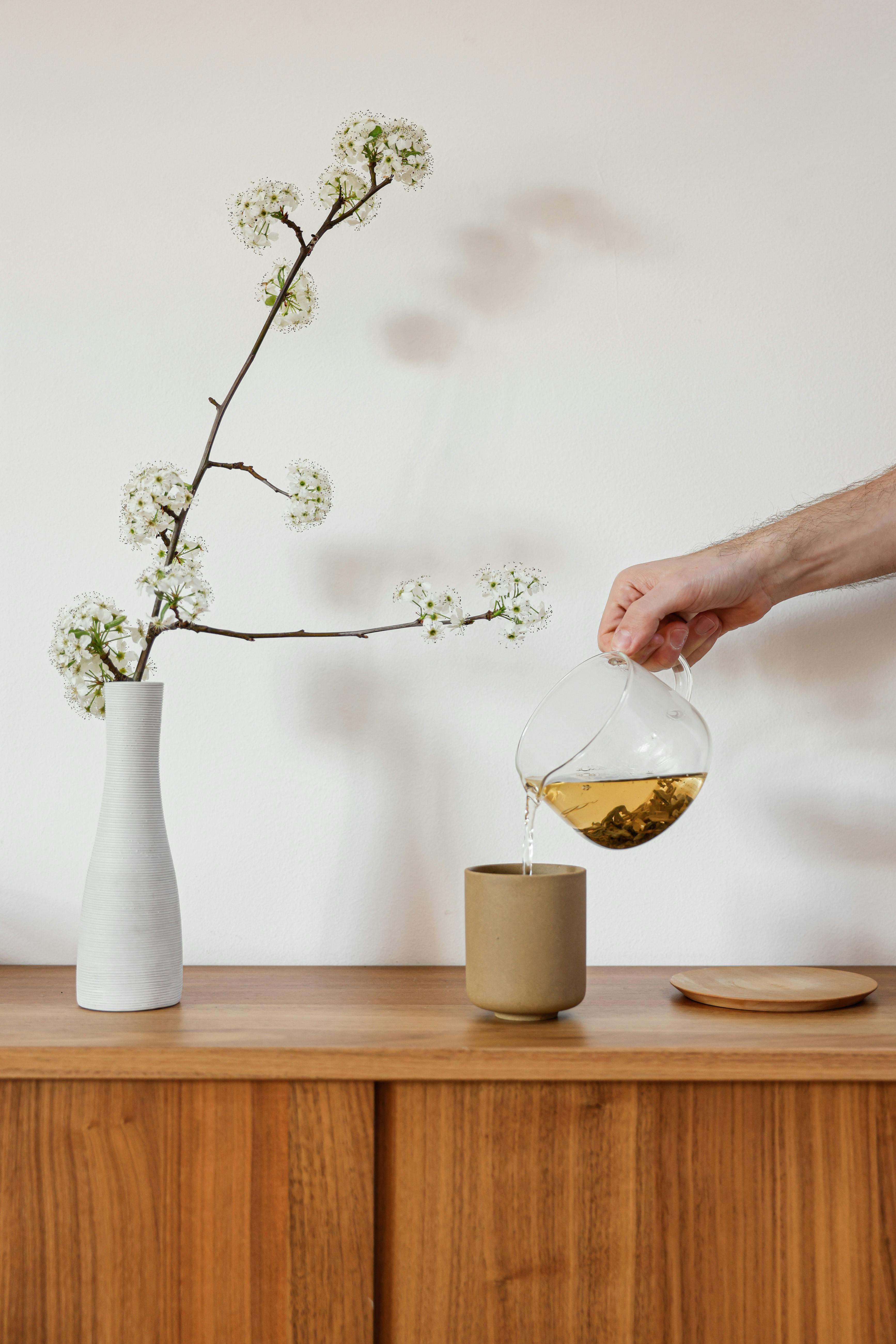 How To Create a Low-Tox Home for a Healthier Body & Mind